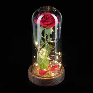 Искусственная роза Relaxdays, С LED-гирляндой, Красная, Ø 11 × 22 см