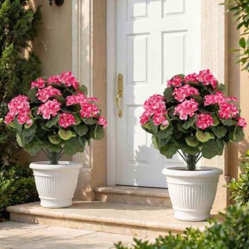 Artificial geranium set, 2 pcs, Pink, Ø 57 × 33 cm
