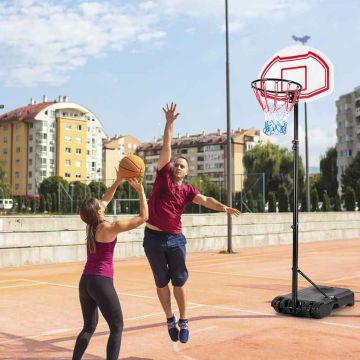 Basketbola statīvs, ar 2 tīkliem