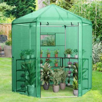 Dome greenhouse, Green, 72 × 90 × 85 in