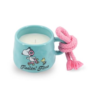 Aromātiskā svece Peanuts