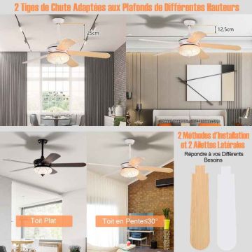 Griestu ventilators, 5 abpusējas lāpstiņas
