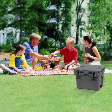 Portable outdoor cooler, 16 l, Brown, 45 × 34 × 33 cm