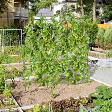 Garden trellis, U-shaped, with net, 180 × 32–65 × 180 cm
