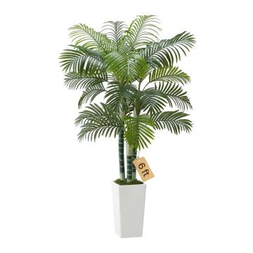 Mākslīgā arekas palma 183 cm ar baltu augstu podu, dekoratīvs augs