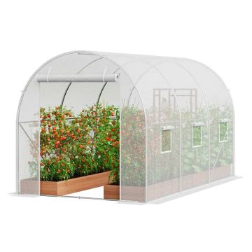Tuneļa siltumnīca ar cinkotu rāmi, 2,9x2x1,9 m, balts PE pārklājums