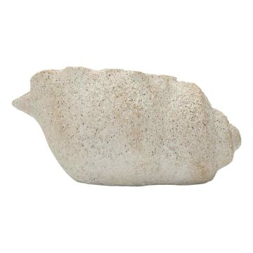 Vāze Shell Sand B, 35 × 18 × 23 cm