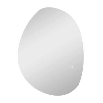 Vannas istabas spogulis ar LED apgaismojumu Homcom 70x5x50cm, sudraba krāsā