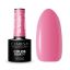 Hybrid nail polish CLARESA "So Simple 2"