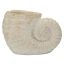 Ваза Shell Sand A, 33 × 23 × 19 см