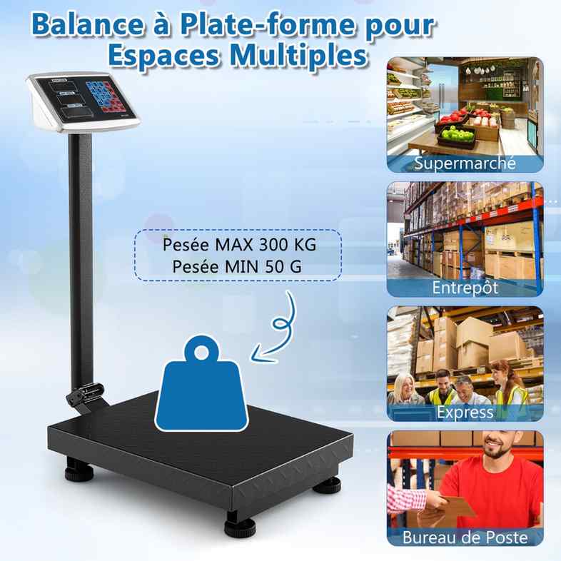 Promotion Platformas svari, 0,05–300 kg
