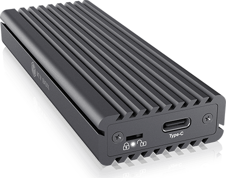 SSD korpuss Raidsonic Icy Box IB-1817M-C31